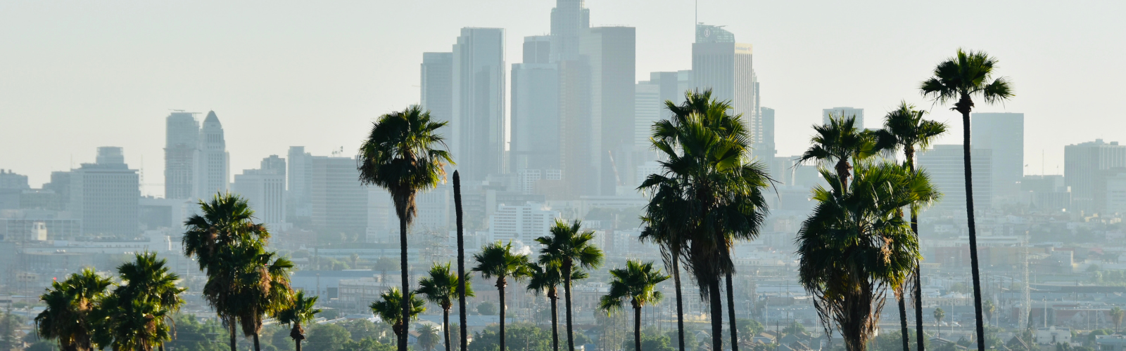 California Phone Number